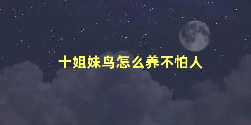 十姐妹鸟怎么养不怕人