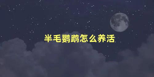 半毛鹦鹉怎么养活