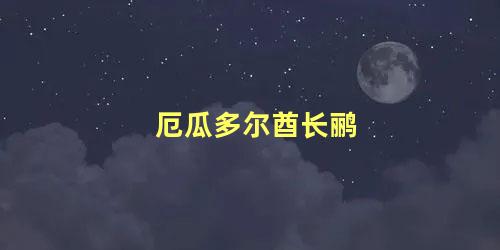 厄瓜多尔酋长鹂