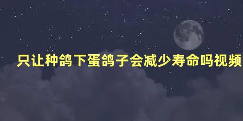 只让种鸽下蛋鸽子会减少寿命吗视频