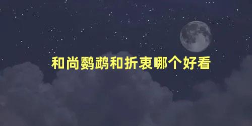 和尚鹦鹉和折衷哪个好看