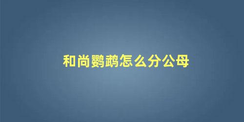 和尚鹦鹉怎么分公母