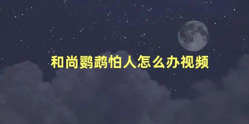 和尚鹦鹉怕人怎么办视频