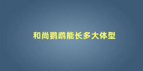 和尚鹦鹉能长多大体型