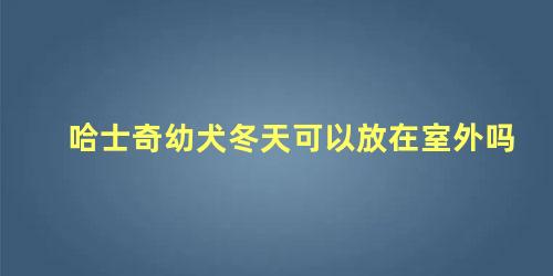 哈士奇幼犬冬天可以放在室外吗