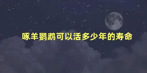 啄羊鹦鹉可以活多少年的寿命