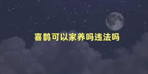 喜鹊可以家养吗违法吗