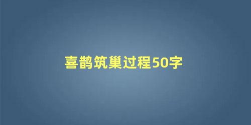 喜鹊筑巢过程50字