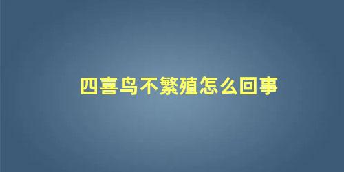 四喜鸟不繁殖怎么回事