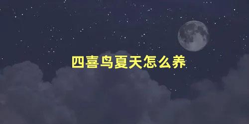 四喜鸟夏天怎么养