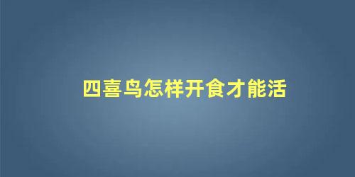 四喜鸟怎样开食才能活