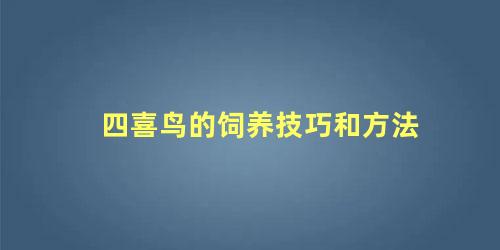 四喜鸟的饲养技巧和方法