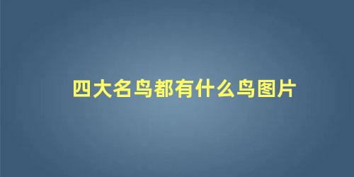 四大名鸟都有什么鸟图片