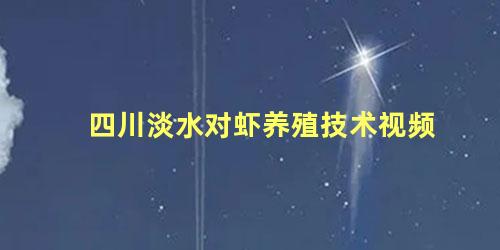 四川淡水对虾养殖技术视频