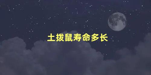 土拨鼠寿命多长