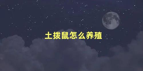 土拨鼠怎么养殖