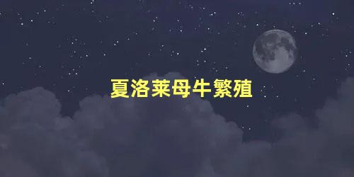 夏洛莱母牛繁殖