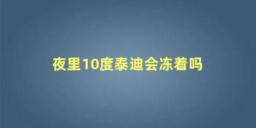 夜里10度泰迪会冻着吗