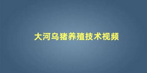 大河乌猪养殖技术视频