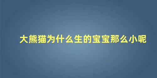 大熊猫为什么生的宝宝那么小呢