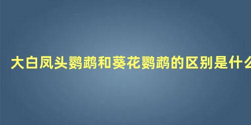 大白凤头鹦鹉和葵花鹦鹉的区别是什么