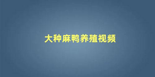 大种麻鸭养殖视频