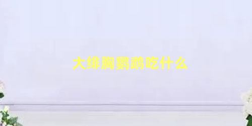 大绯胸鹦鹉吃什么