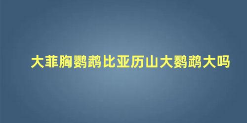 大菲胸鹦鹉比亚历山大鹦鹉大吗