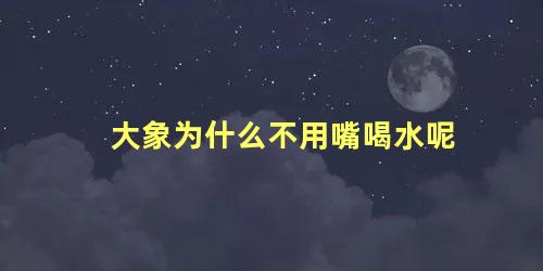 大象为什么不用嘴喝水呢