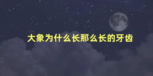 大象为什么长那么长的牙齿