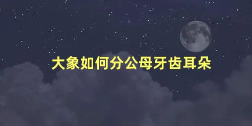 大象如何分公母牙齿耳朵