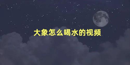 大象怎么喝水的视频