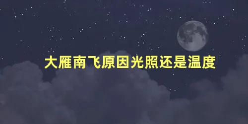 大雁南飞原因光照还是温度