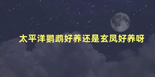 太平洋鹦鹉好养还是玄凤好养呀