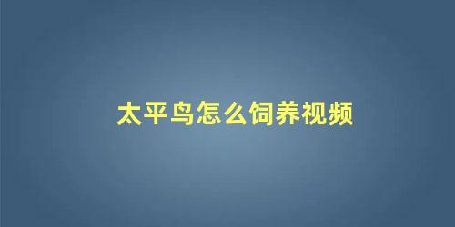 太平鸟怎么饲养视频