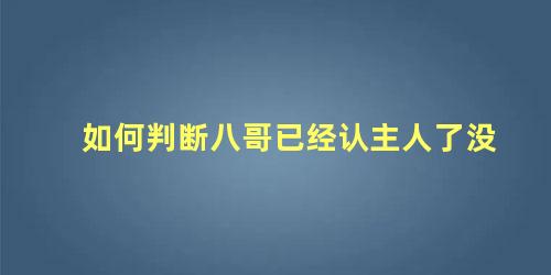 如何判断八哥已经认主人了没