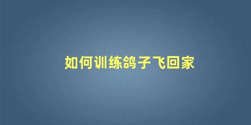 如何训练鸽子飞回家