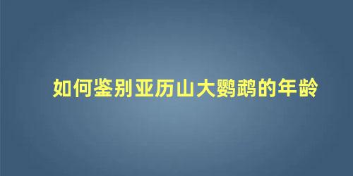 如何鉴别亚历山大鹦鹉的年龄