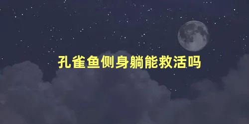 孔雀鱼侧身躺能救活吗