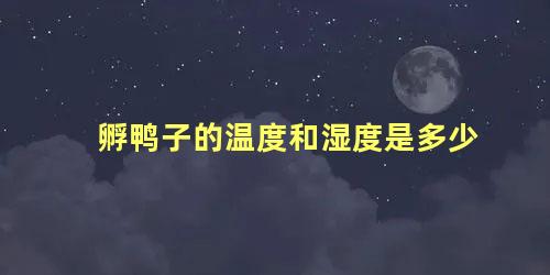 孵鸭子的温度和湿度是多少