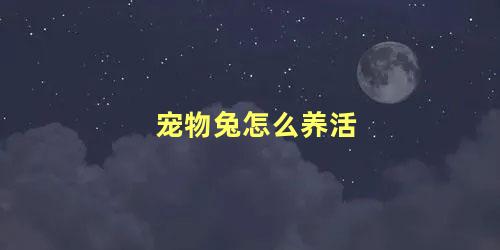 宠物兔怎么养活