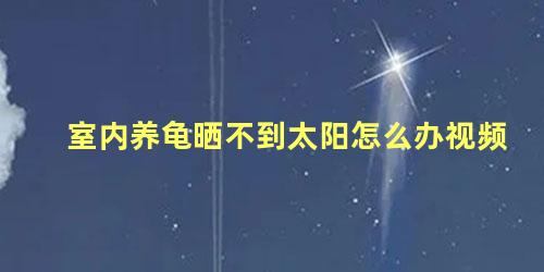 室内养龟晒不到太阳怎么办视频