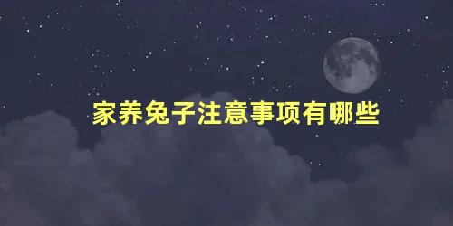 家养兔子注意事项有哪些