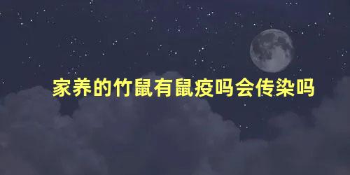 家养的竹鼠有鼠疫吗会传染吗