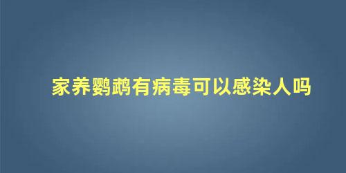 家养鹦鹉有病毒可以感染人吗