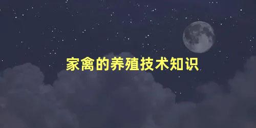 家禽的养殖技术知识