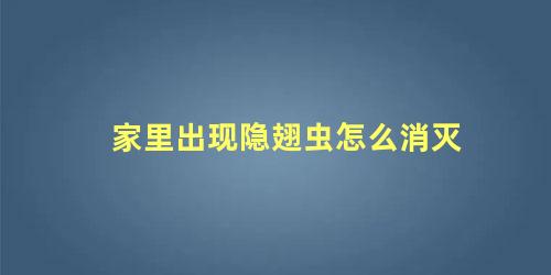 家里出现隐翅虫怎么消灭