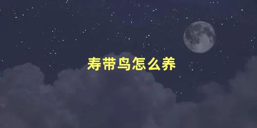 寿带鸟怎么养