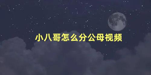 小八哥怎么分公母视频