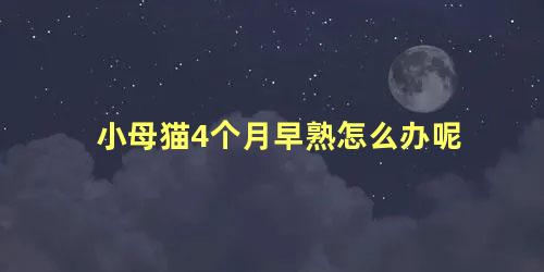 小母猫4个月早熟怎么办呢